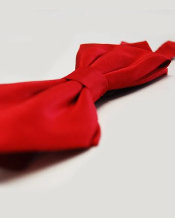 Accessoires für den Bräutigam -passende Fliege zum Brautkleid in rot